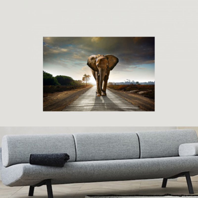 Πίνακας σε καμβά με Ζώα Elephant on the road